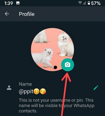 Cómo cambiar la imagen de su perfil en WhatsApp Android