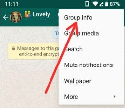 Cómo utilizar las nuevas funciones de WhatsApp Group en un teléfono Android