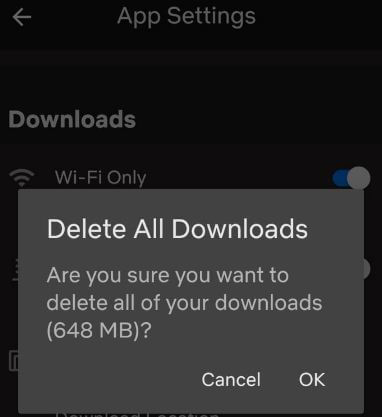 Eliminar todas las descargas en el teléfono Android de Netflix